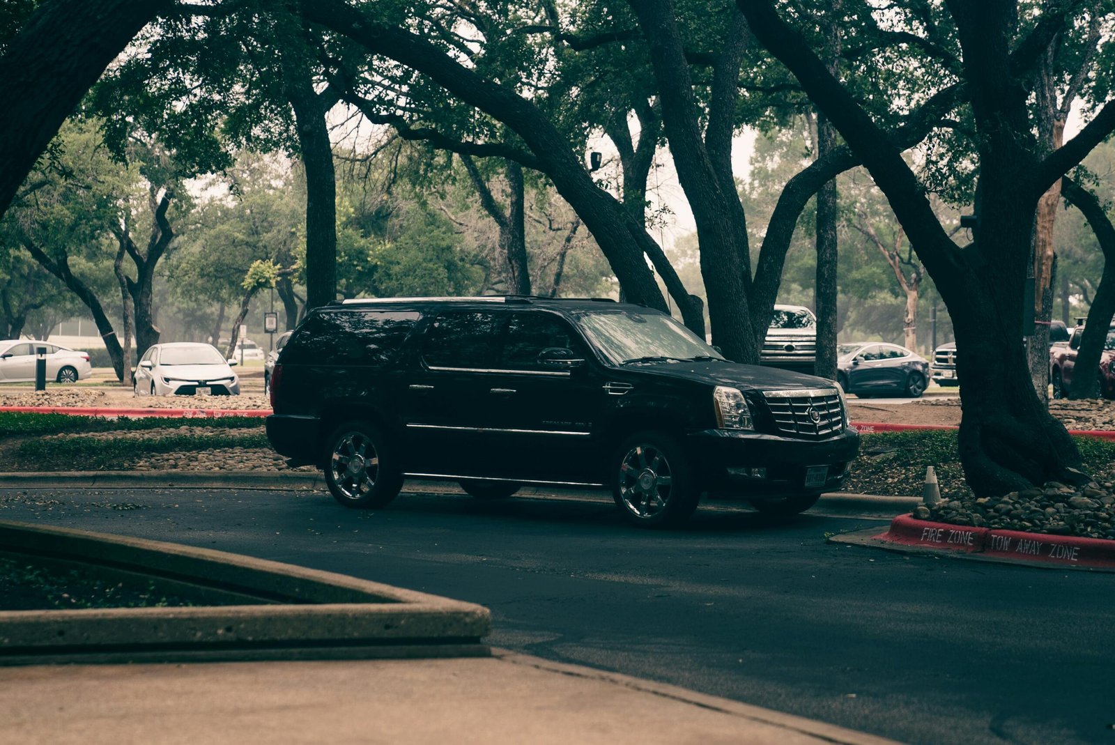 Black luxury SUV parked under trees in an urban area, showcasing modern elegance.